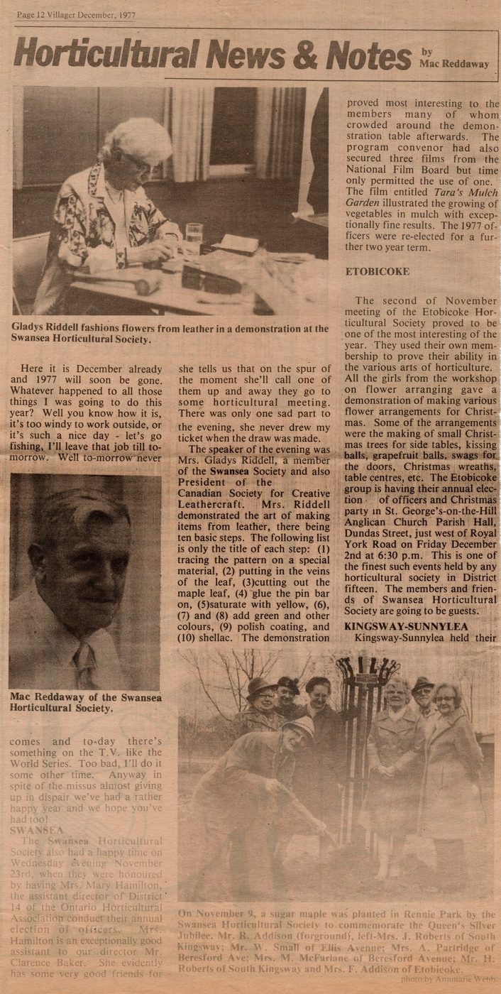 Press Clippings, photograph 6
