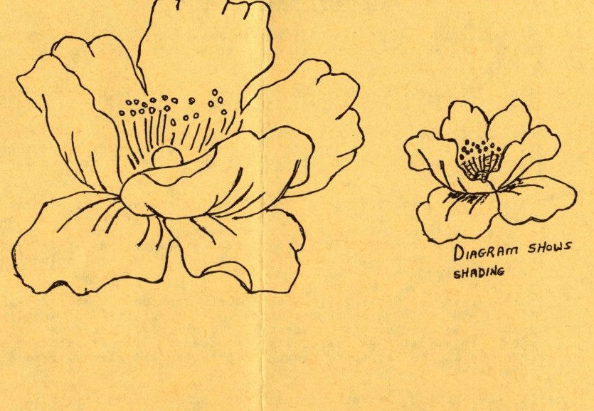Summer 1988 · Volume 36, No. 4, page 5 — the drawings printed on this page