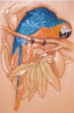 Canadian Leathercraft – Spring 2007 – Newsletter by CSCL, page 7 — photograph 2