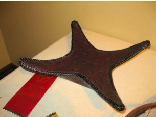 Canadian Leathercraft – Spring 2011 – Newsletter by CSCL, page 8 — photograph 1