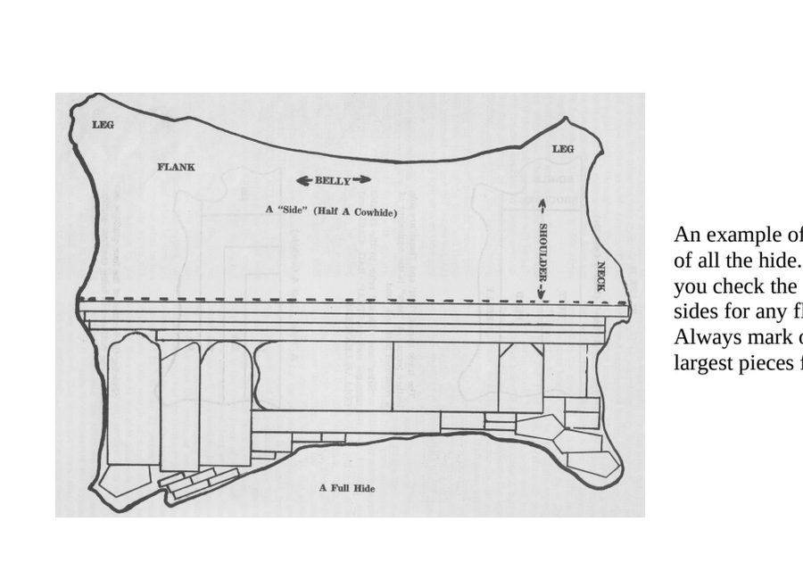 Canadian Leathercraft – Summer 2008 – Newsletter by CSCL, page 4 — photograph 1