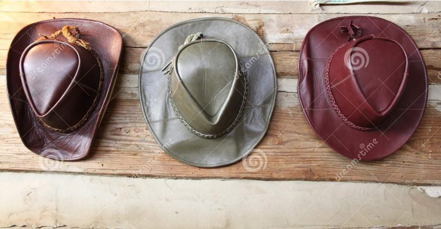 Canadian Leathercraft – Summer 2018 – Newsletter by CSCL, page 7 — photograph 1