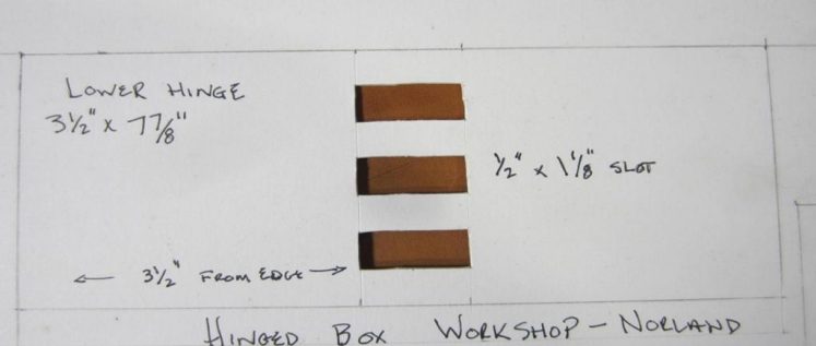Canadian Leathercraft – Summer 2020 – Newsletter by CSCL, page 8 — photograph 1