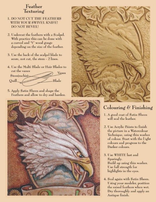 Canadian Leathercraft – Winter 2016-2017 – Newsletter by CSCL, page 5 — photograph 4