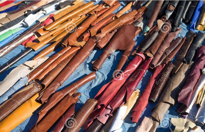 Canadian Leathercraft – Winter 2017-2018 – Newsletter by CSCL, page 1 — photograph 1