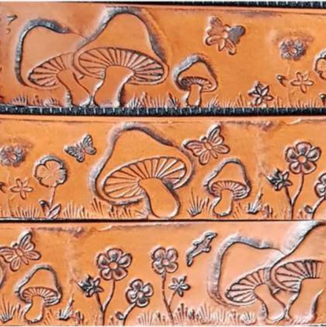 Canadian Leathercraft – Winter 2019-2020 – Newsletter by CSCL, page 1 — photograph 1
