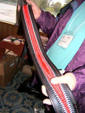 2008 CSCL photos — photograph 41