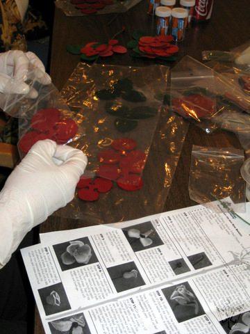 2009 CSCL photos — photograph 54