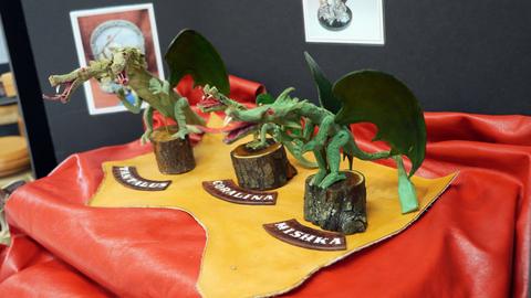 2015 CSCL photos — photograph 40