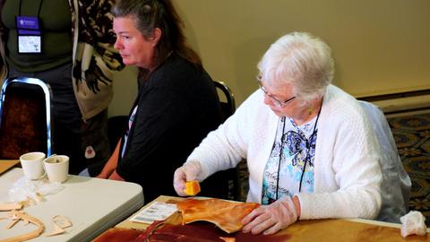 2016 CSCL photos — photograph 76