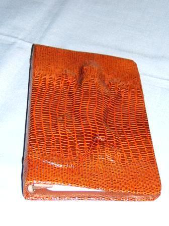 2005 CSCL photos — photograph 42