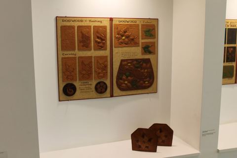 2013 Biennial — judging and set-up, Woodstock — photograph 80