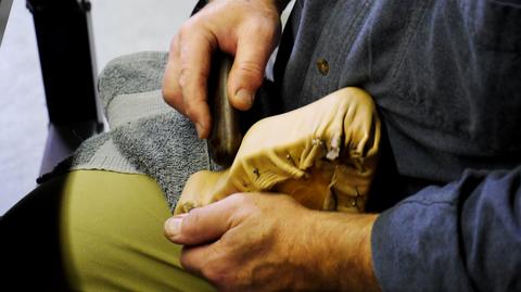 Close view of hands rubbing gathered tan leather over a form with a smoothing tool