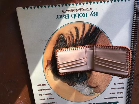 Wallet Humming Bird and Butterfly by James Wilkes — photograph 3
