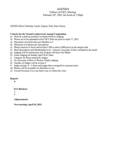 Fellows Meeting — Criteria for the Virtual Competition (February 2021) — first page of the original PDF