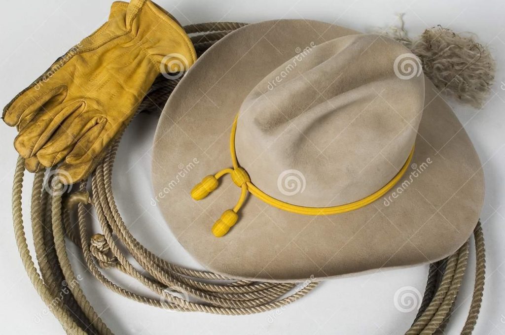 Canadian Leathercraft Winter 20182019 Quarterly Newsletter by CSCL